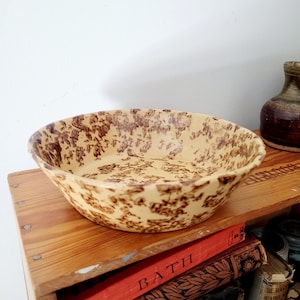 Peut inclure: Un bol en céramique rond et peu profond présentant une base de couleur crème avec un motif tacheté brun foncé sur les surfaces intérieure et extérieure. Le bol possède un bord incurvé lisse et une forme large et ouverte.