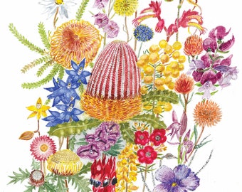 Digital Watercolour West Australian Wildflowers Print | DIGITAL DOWNLOAD| Print Wall Art Living Room Decor Wall Home Decor|BOHO large art