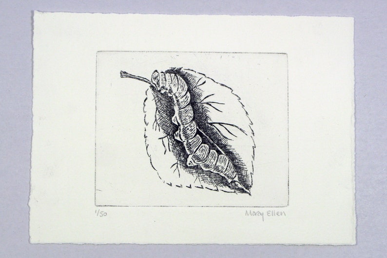 Limited Edition signed print Framed Caterpillar Etching