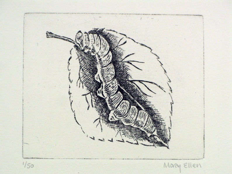 Limited Edition signed print Framed Caterpillar Etching