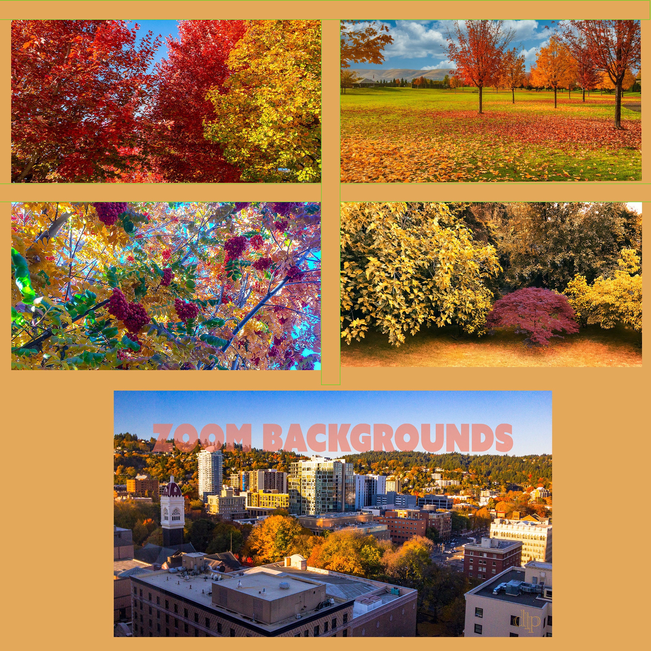 Autumn Zoom Backgrounds Etsy