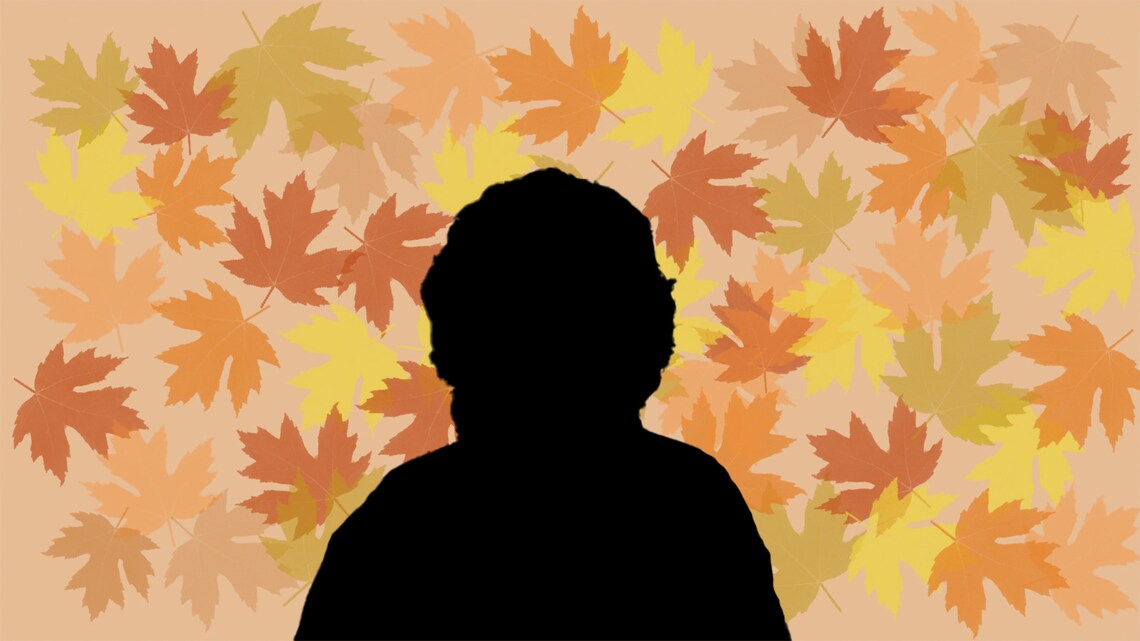 Autumn Leaves Zoom Background Etsy