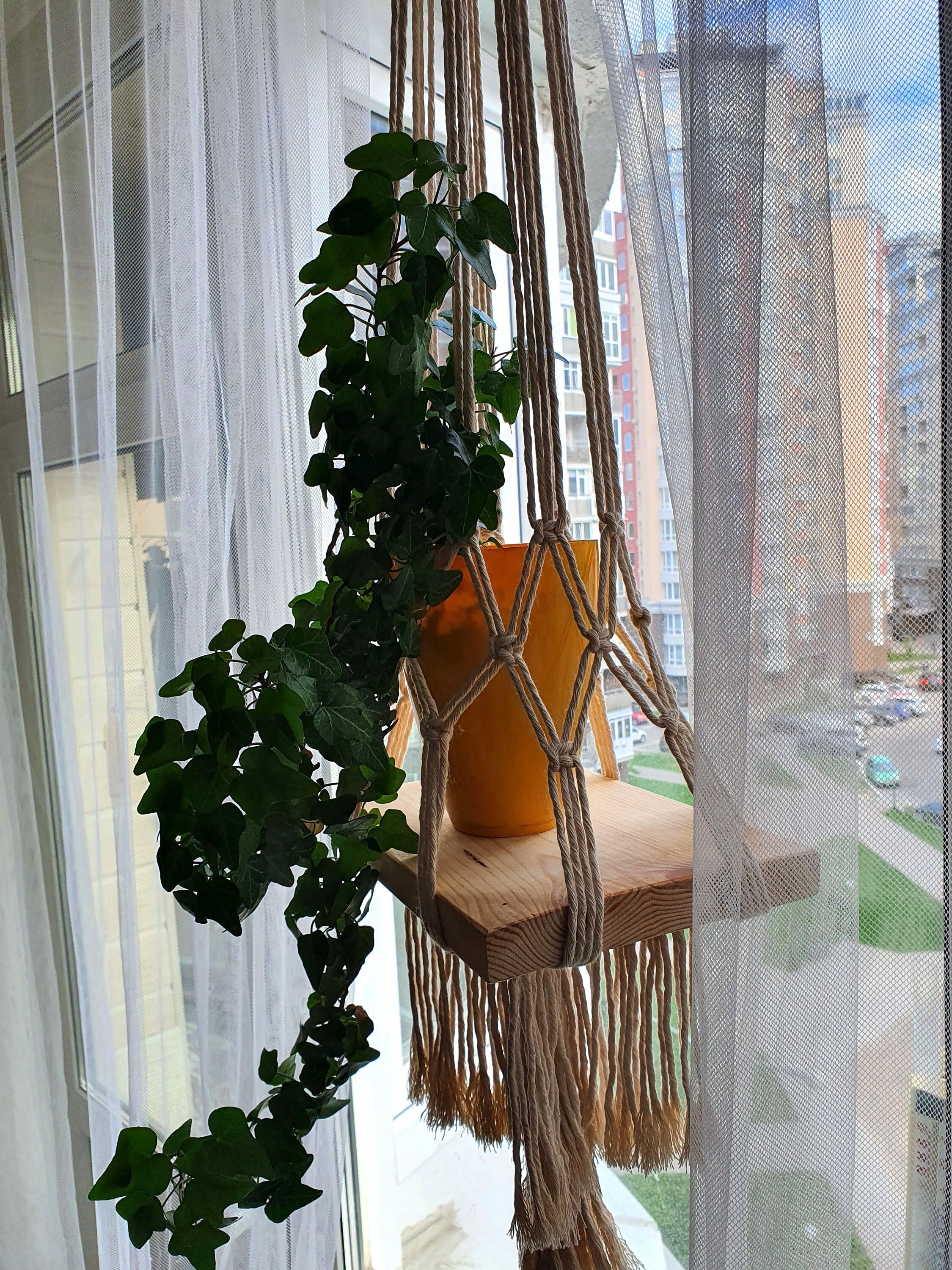 Fenster Pflanzenregal Makramee Hängeregal Holz Fenster Etsy