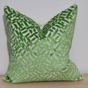 Designers Guild Dufrene Grass & Omega Velvet Cushion Cover 43x43 cm