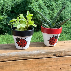 May include: Two terracotta pots painted with a ladybug design. One pot is black and white and holds a green plant. The other pot is red and white and holds a green succulent.