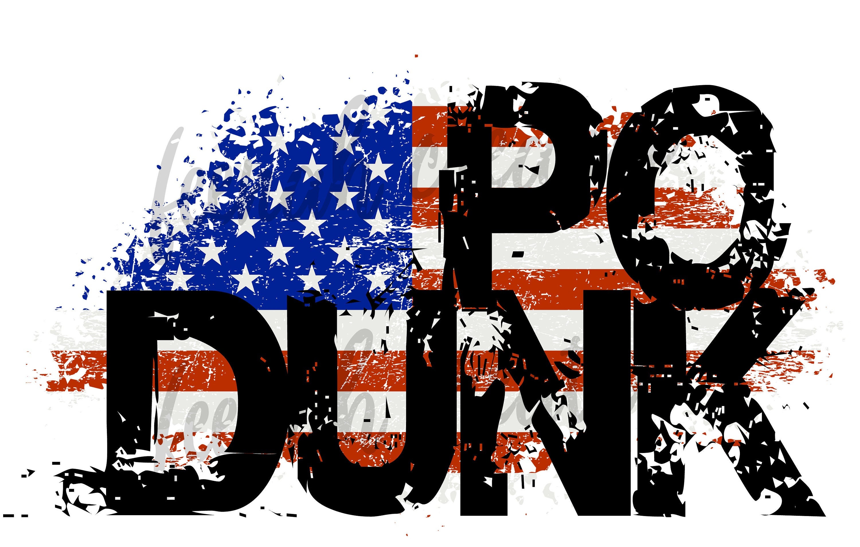 Kid Rock Po Dunk America We the People Sublimation Etsy