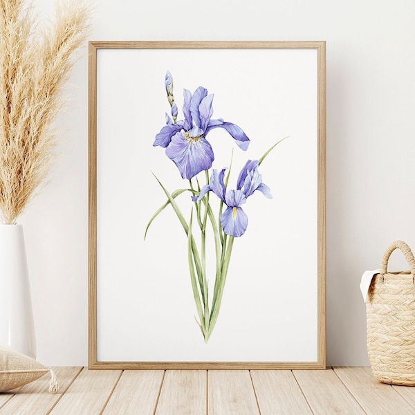 Watercolor Iris - Etsy