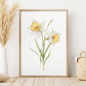 Narcissus / December Flower / Birth Flower Watercolor / Instant Download / DIGITAL FILE ONLY