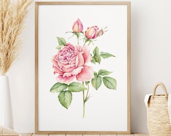 Rose / June Flower / Birth Flower Watercolor / Instant Download / DIGITAL FILE ONLY