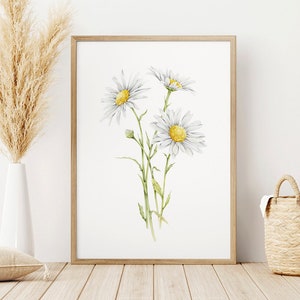 Daisy / April Flower / Birth Flower Watercolor / Instant Download / DIGITAL FILE ONLY