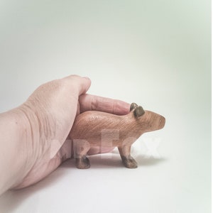 capybara gift