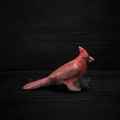 Wooden Cardinal Bird - Northern Cardinal Figurine - Waldorf Wooden Toy - Montessori Wooden Toy - Wooden Bird Figurine product logo
