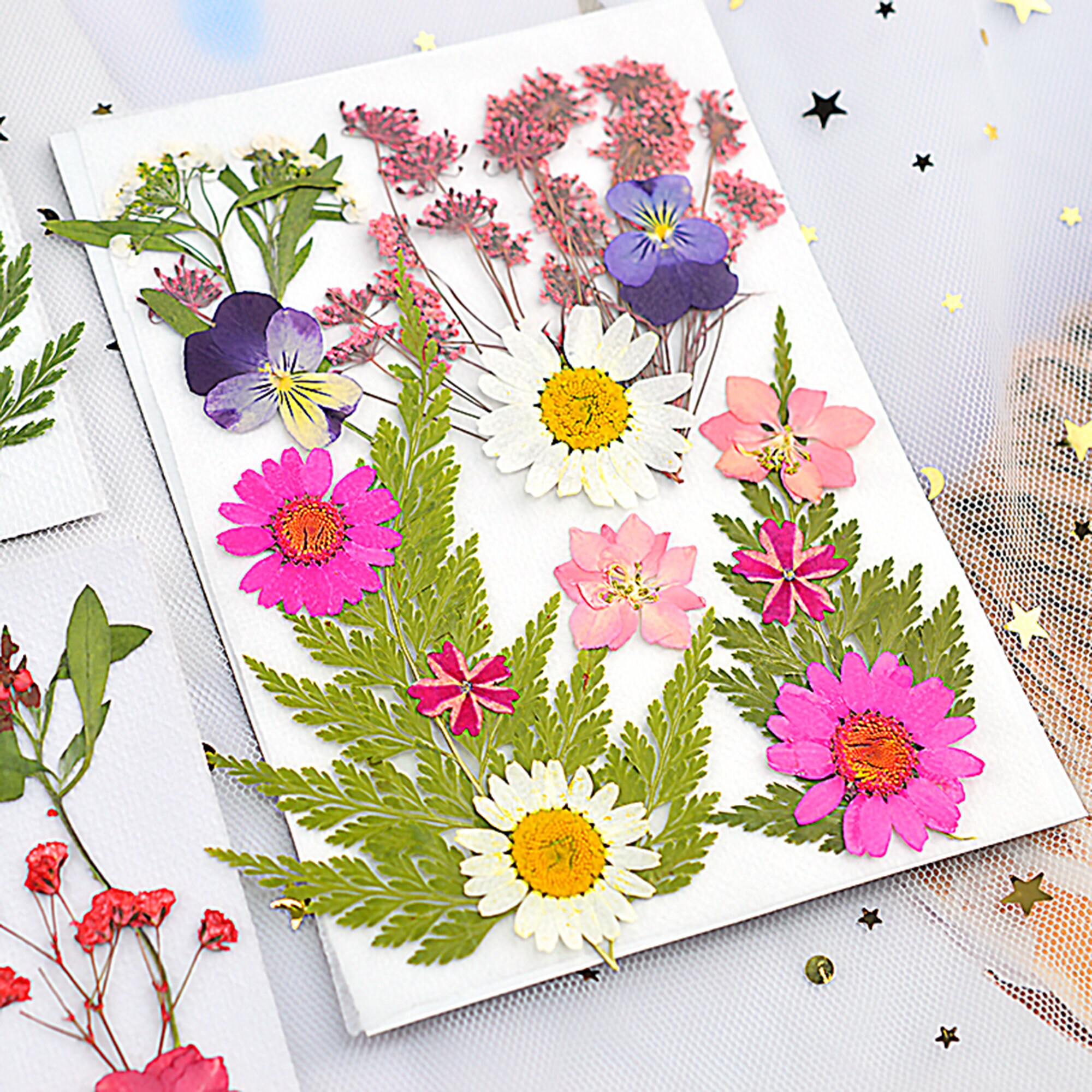 Bulk Dried Flowers for Resin Art and for Cell Phone Case Real Etsy