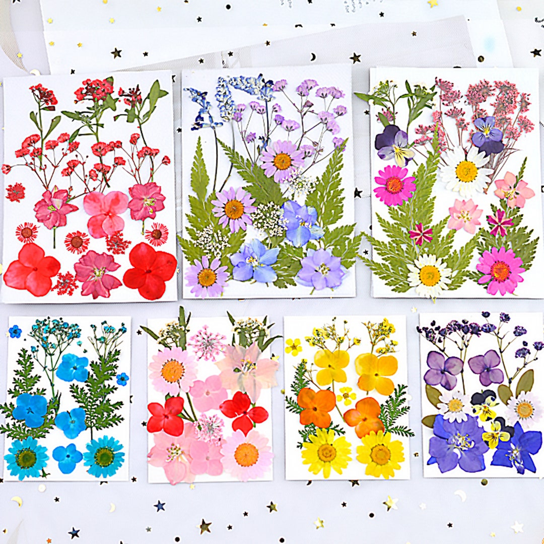 Bulk Dried Flowers for Resin Art and for Cell Phone Case, Real Flowers