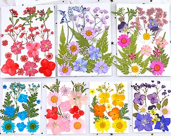 Flores secas a granel para arte con resina y para fundas de teléfonos celulares, flores reales, combinación de flores secas naturales, flores de herbario prensadas DIY F179