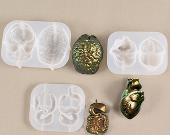 Human 3D Organ Silicone Resin Mold, Visceral Brain Heart, Molds for Gifts Making, Home Decoration Mold, Epoxy Resin Mold F1459