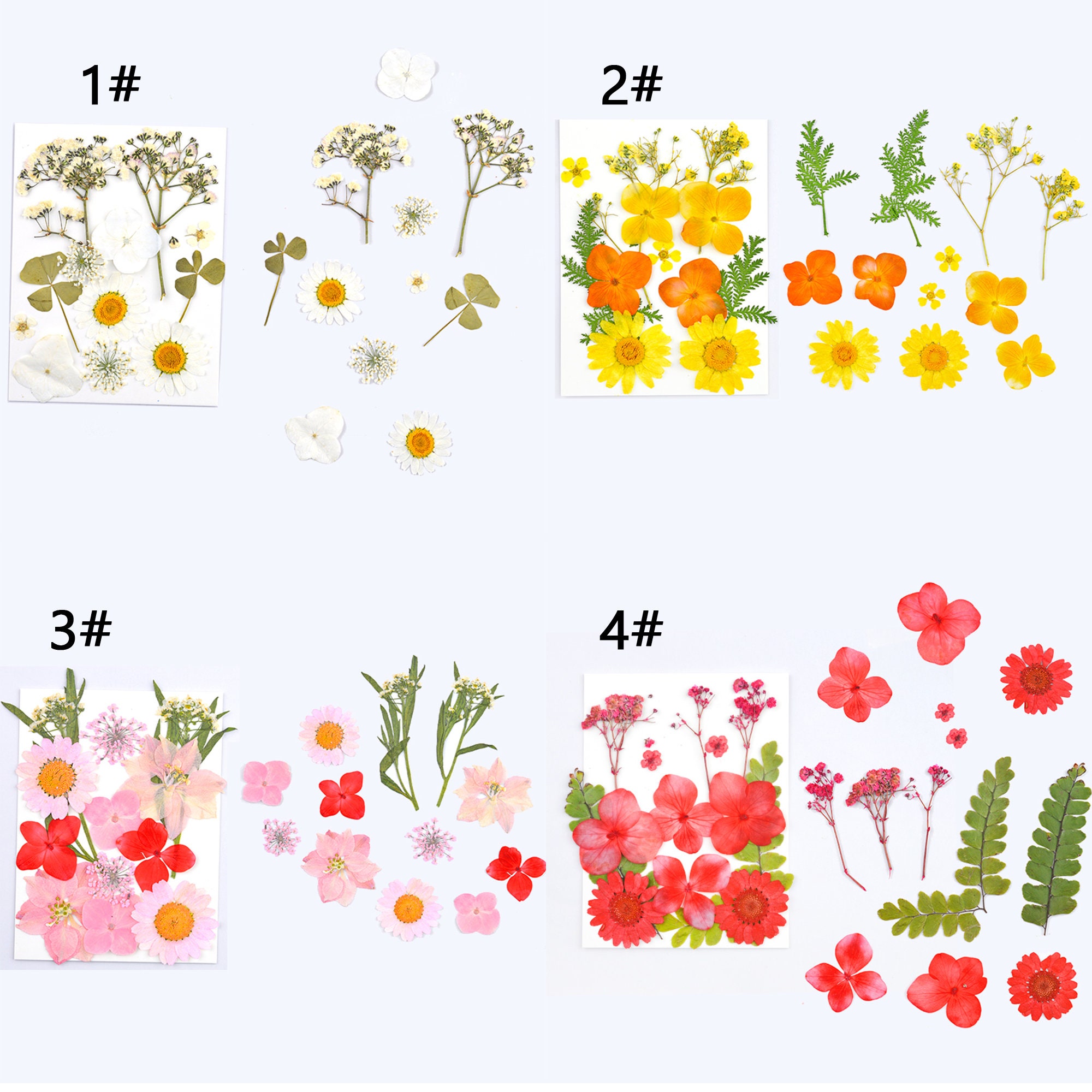 Bulk Dried Flowers for Resin Art and for Cell Phone Case Real Etsy