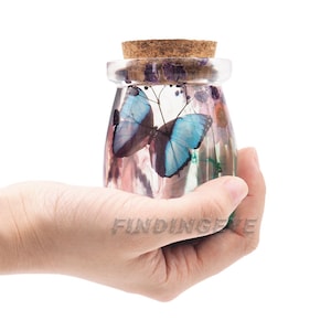 Pode incluir: Um frasco de vidro transparente com rolha de cortiça, contendo uma borboleta azul e flores secas. O frasco é segurado em uma mão, mostrando os detalhes das asas da borboleta. O frasco tem aproximadamente 10 cm de altura.