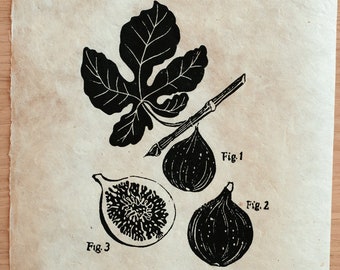 Figues | Linogravure faite main, impression artisanale, décoration d'intérieur, illustration botanique