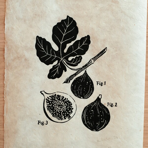 Figues | Linogravure faite main, impression artisanale, décoration d'intérieur, illustration botanique