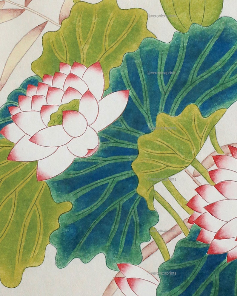 Watercolor Lotus Print: Korean Folk Art Wall Decor (digital Download ...
