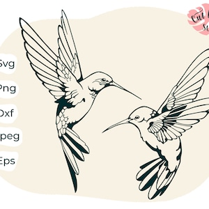Hummingbird svg, Hummingbird clipart, hummingbird cut file, bird svg, humming bird svg, hummingbird vector, hummingbird print