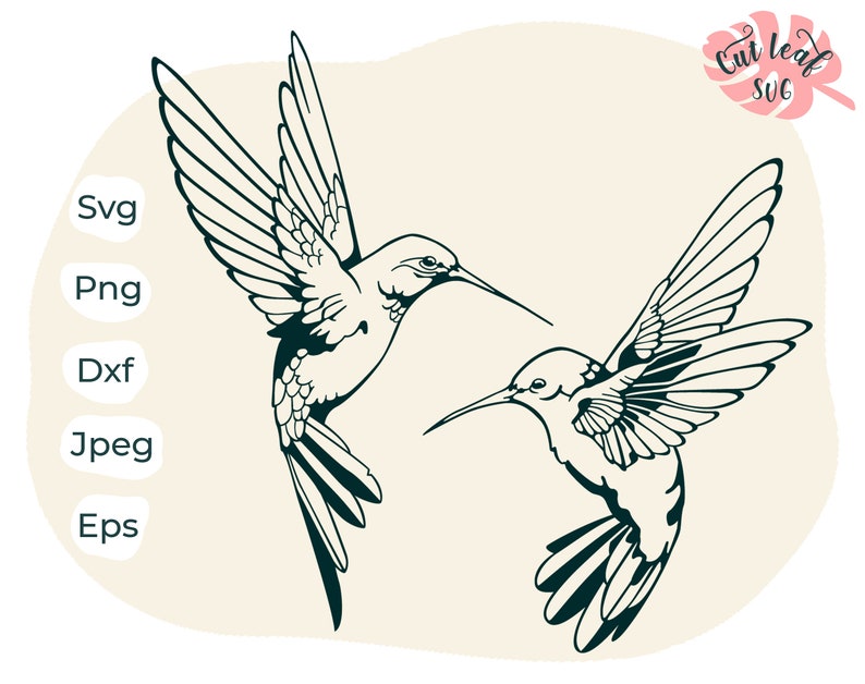 Download Hummingbird svg Hummingbird clipart hummingbird cut file ...
