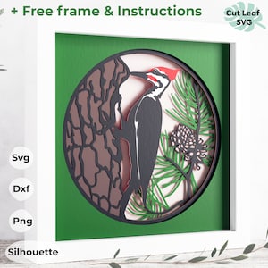 Svg de boîte d'ombre de pic - observation des oiseaux, svg 3d grand pic, fichiers pour Cricut, pour la silhouette, svg en couches