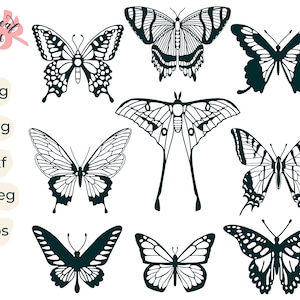 Butterfly Bundle Svg, Butterfly Svg, Monarch Butterfly, Butterfly ...