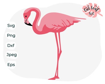 Könnte beinhalten: Rosa-farbene Flamingo-Illustration mit langem Hals und langen Beinen. Der Flamingo steht auf einem Bein. Die Illustration befindet sich auf einem weißen Hintergrund mit dem Text "Cut Leaf Sug" in Schwarz.