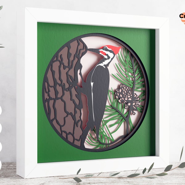 Woodpecker shadow box svg - Birdwatching svg, Pileated Woodpecker 3d svg, Files for Cricut, for Silhouette, layered svg