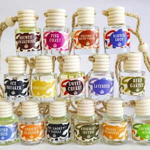 Op de afbeelding: Een verzameling van 12 kleine glazen flesjes met houten dopjes en touwtjes om op te hangen. Elk flesje heeft een andere geur en een ander ontwerp, waaronder "Brewed Awakening", "Pink Coast", "Pistachio & Salted Caramel", "Barber Shop", "Ice Breaker", "Moncello", "Sweet Cherry", "Lavender", "Herb Garden", "Fresh Linen", "Apricot Blossom", "Pipe Smoke & Vanilla", "Rosemary Incense", "Orange Creamsicle" en "Cucumber Melon".