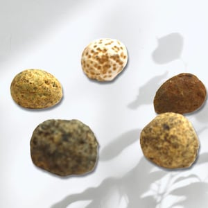Peut inclure: Cinq pierres rondes, lisses et naturelles dans différentes nuances de brun, jaune et blanc. Les pierres ont une surface rugueuse et texturée.