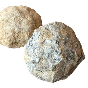 Op de afbeelding: Twee ruwe, bolvormige rotsen met een natuurlijk, getextureerd uiterlijk. Eén is lichtbruin van kleur, de andere heeft een mix van grijs, wit en bruin. De rotsen staan tegen een effen witte achtergrond.