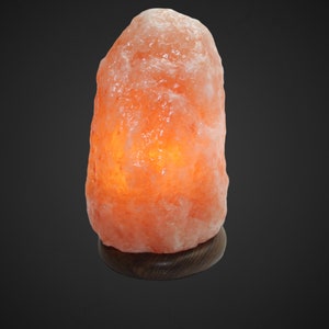 Salt lamp | Healing stone lamp | handmade I Meditation | Yoga | Room cleaning I warm light I eye-catcher I Pakistan