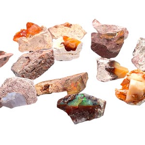 Könnte beinhalten: Eine Sammlung roher Opal-Edelsteine in verschiedenen Formen und Größen. Die Opale zeigen eine Reihe von Farben, darunter Orange, Braun, Weiß und Grün, mit einer rauen, natürlichen Textur. Die Edelsteine sind vor einem weißen Hintergrund platziert.