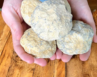 Geoden Set in Tennisballgrösse I 5 große Geoden I je 6-7 cm und gesamt 900-1000 Gramm zum selber aufbrechen - mit Anleitung und Erklärung