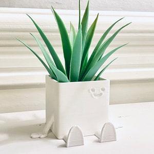 Eugene, la maceta feliz. Maceta para plantas de aire, bonita maceta para flores, maceta para suculentas, regalo único para el hogar o la decoración del hogar