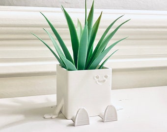 Eugene, den glada krukan. Luftburk för växter, söt blomkruka, suckulentplanter, unik present till hemmet eller heminredning.