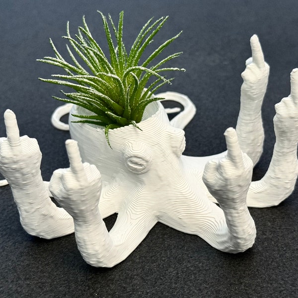 Fucktopus Airplant Pot - Funny Airplant Home Decoration Stand