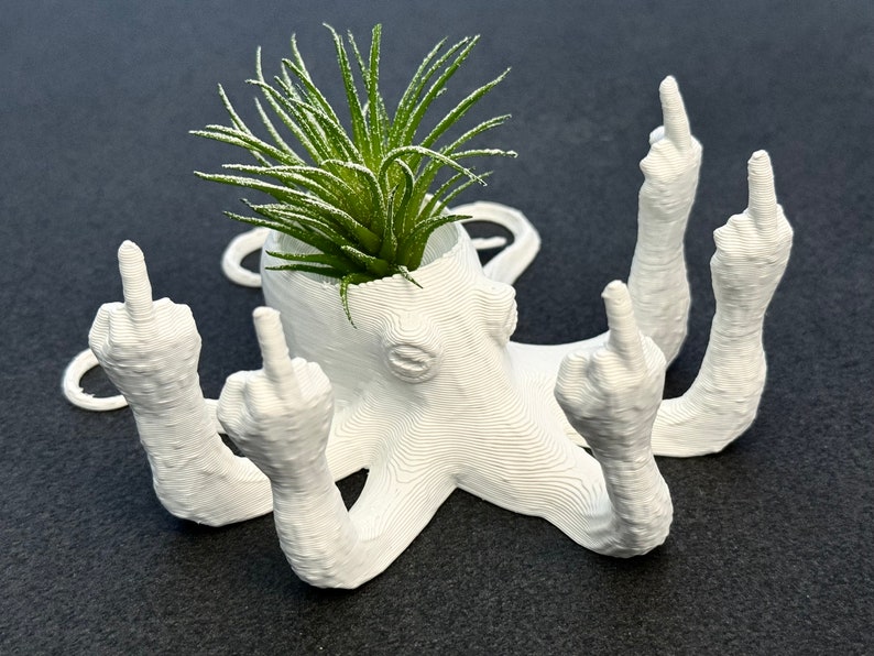 Fucktopus Airplant Pot Funny Airplant Home Decoration Stand zdjęcie 1