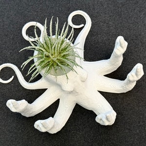 Fucktopus Airplant Pot Funny Airplant Home Decoration Stand zdjęcie 3