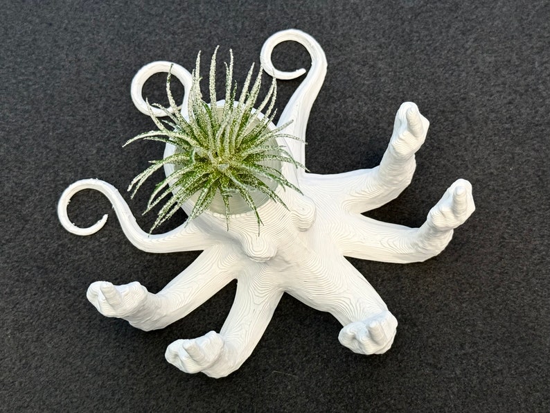 Fucktopus Airplant Pot Funny Airplant Home Decoration Stand zdjęcie 3