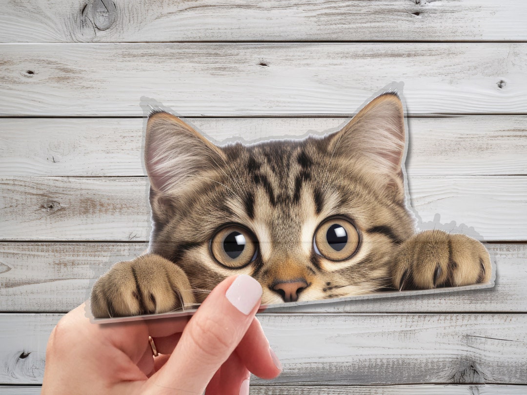 Cute Peeking Cat Wall Decal Enchanting Wall Decor for Cat Etsy