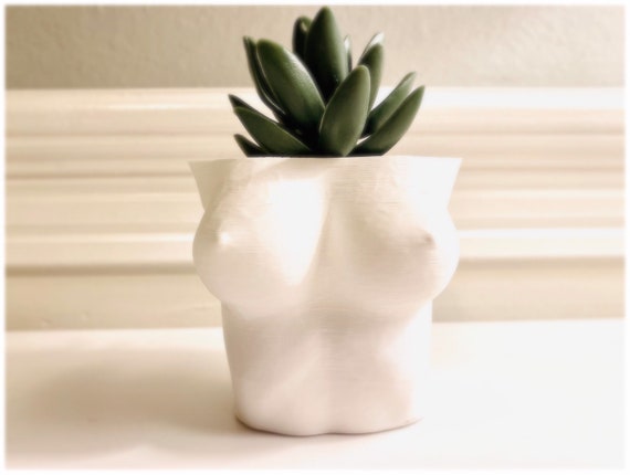 Sexy Erotic Art Planter Pot. Erotic Gift for Him. Erotic Deco - Etsy