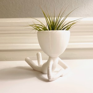 Legeluftpflanze Buddy “Jackson”. Luftpflanzenhalter / Einzigartiges Geschenk. Schöne Zen Garten Dekoration.