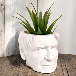 May include: White ceramic planter shaped like a human face with a green succulent plant inside.