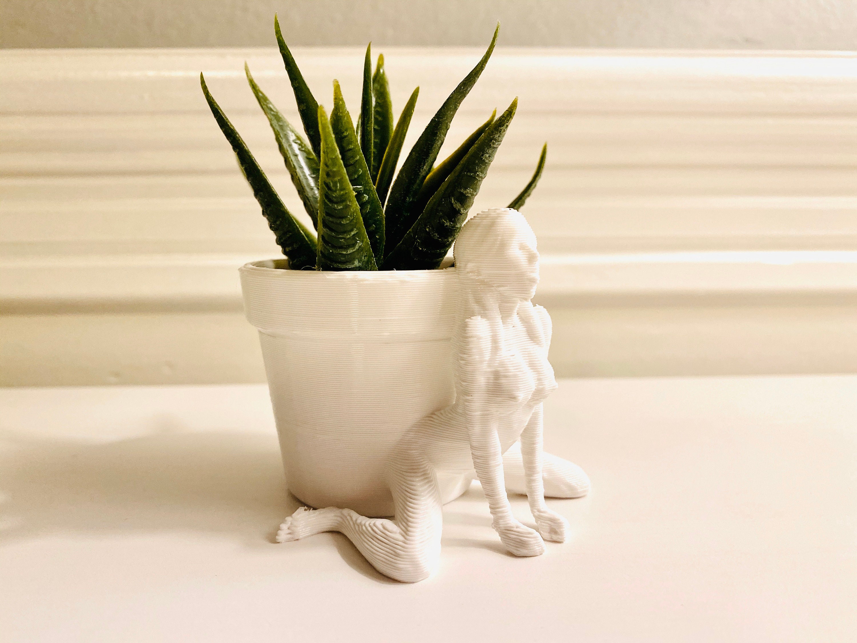 The Girl Erotic Female Planter Pots. Erotic Gift for Him. | Etsy