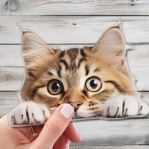Cute Peeking Cat Wall Decal - Enchanting Wall Decor for Cat Lovers - Whimsical Wall Art for Home, Nursery, Playroom Setup