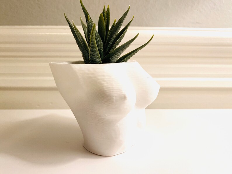 Sexy Erotic Art Planter Pot. Erotic Gift for Him. Erotic Deco - Etsy